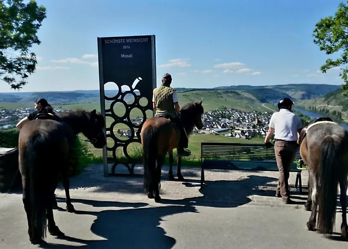 Cozy Koori 1770- Rizas Hills